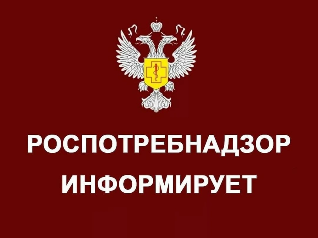 «Безопасный и незаменимый» - Роспотребнадзор и участники национальной системы прав потребителей обсудят оптимизацию искусственного интеллекта для рядовых пользователей.