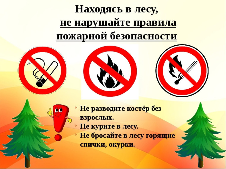 Памятка по пожарной безопасности в лесных массивах. Памятка по пожарной безопасности в лесных массивах.