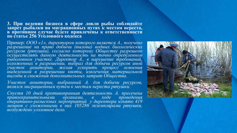 Прокуратурой Красноярского края в честь Дня российского предпринимательства подготовлены методические рекомендации для предпринимателей о нарушениях в сфере бизнеса, влекущих судебные тяжбы или уголовное преследование..